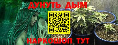 ГАЛЛЮЦИНОГЕННЫЕ ГРИБЫ Заволжье
