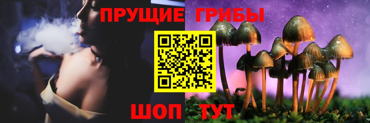 Псилоцибиновые грибы Psilocybine cubensis Камышин